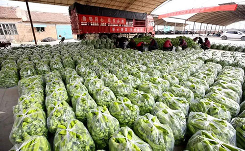 我是湖南長沙蔬菜批發(fā)市場,買多少錢的農(nóng)藥殘留檢測儀合適?