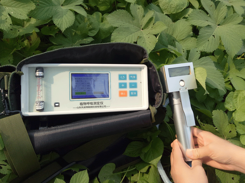 研究測(cè)定果蔬呼吸有什么應(yīng)用？